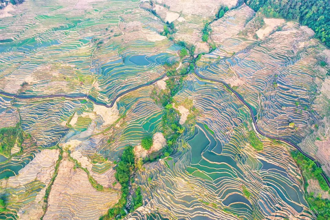 云南省文化和旅游厅