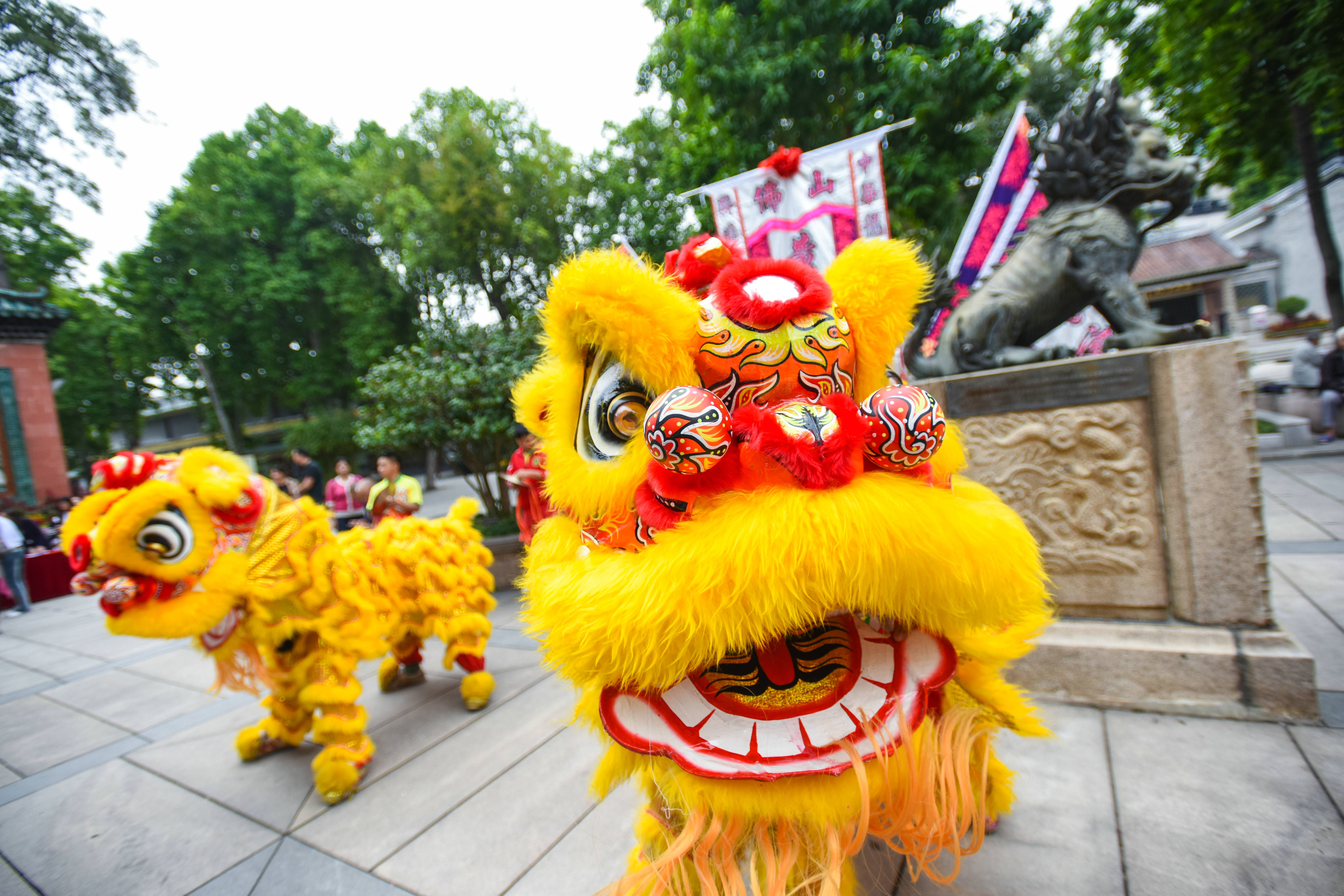 广东佛山祖庙醒狮：舞出南狮精气神