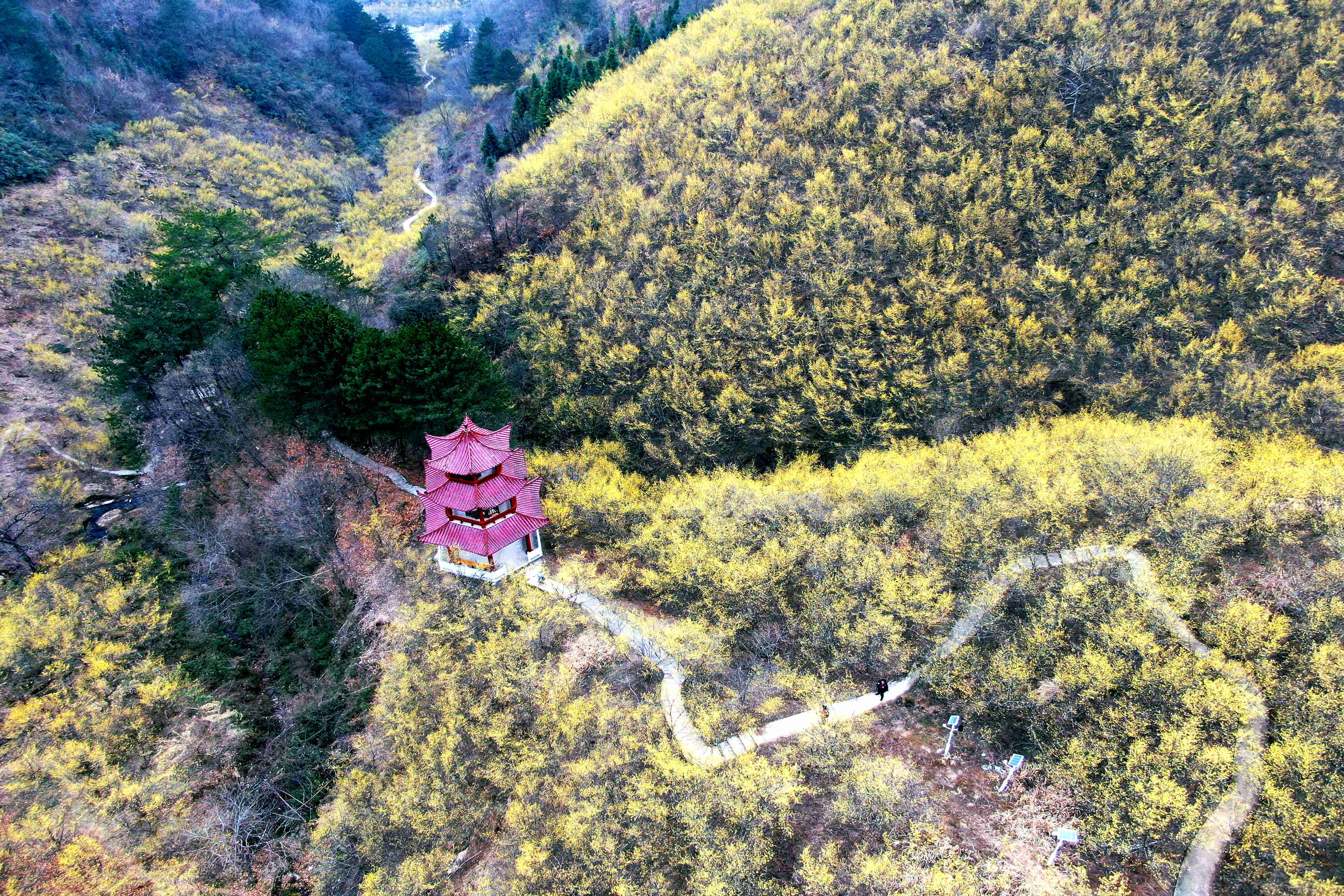 全国乡村旅游重点村长角坝镇沙窝村茱萸谷风光.吴燕峰 摄