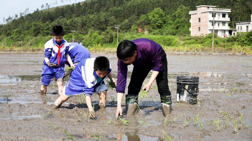 江西分宜：谷雨时节学农事