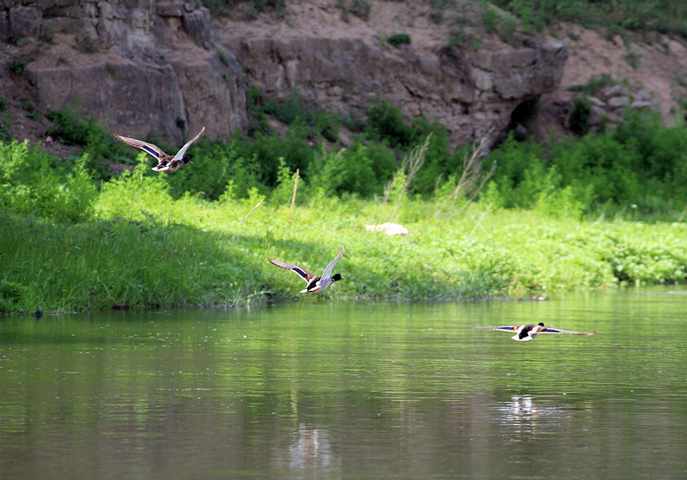 河南安阳洹河大峡谷景色美
