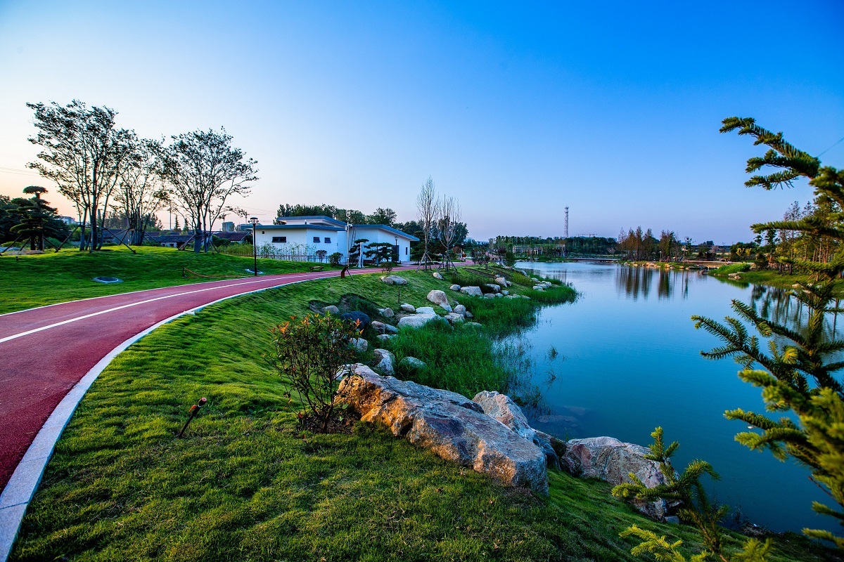 山东临沂市罗庄区：工矿废弃地蝶变城市绿地公园