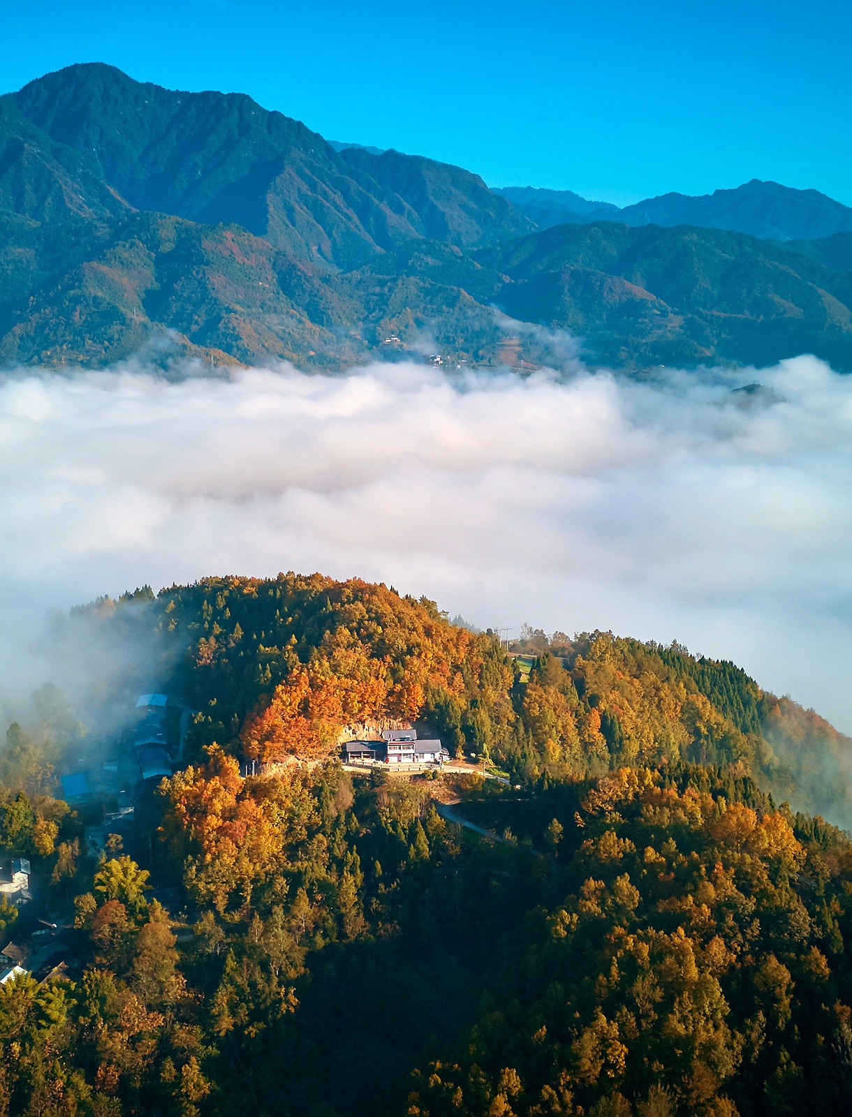在平武县城近郊的山村，冬日清晨云雾缭绕，美若仙境。
