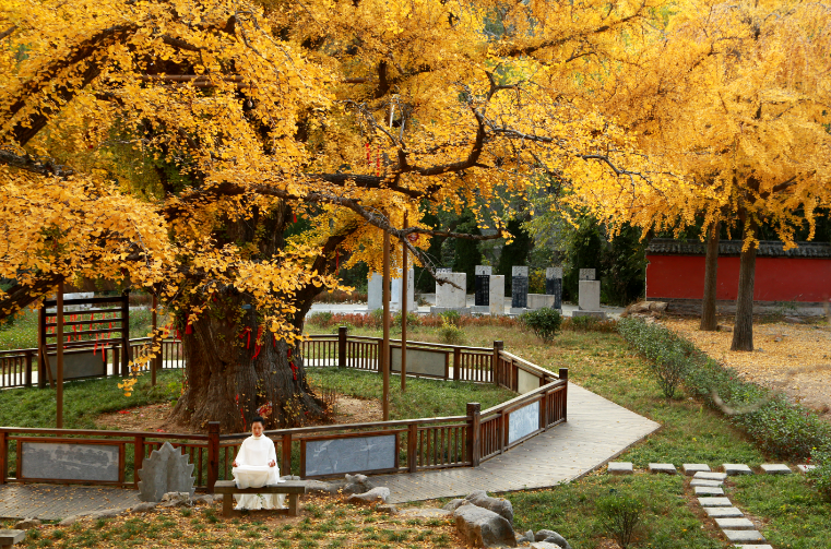 泗水安山寺图片