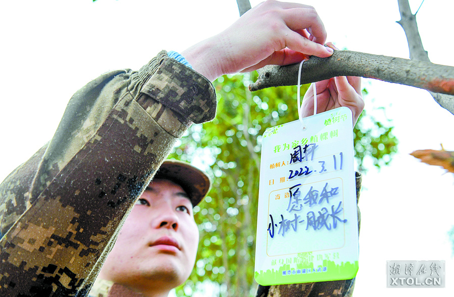 湖南湘潭：植树添绿 收获好春光