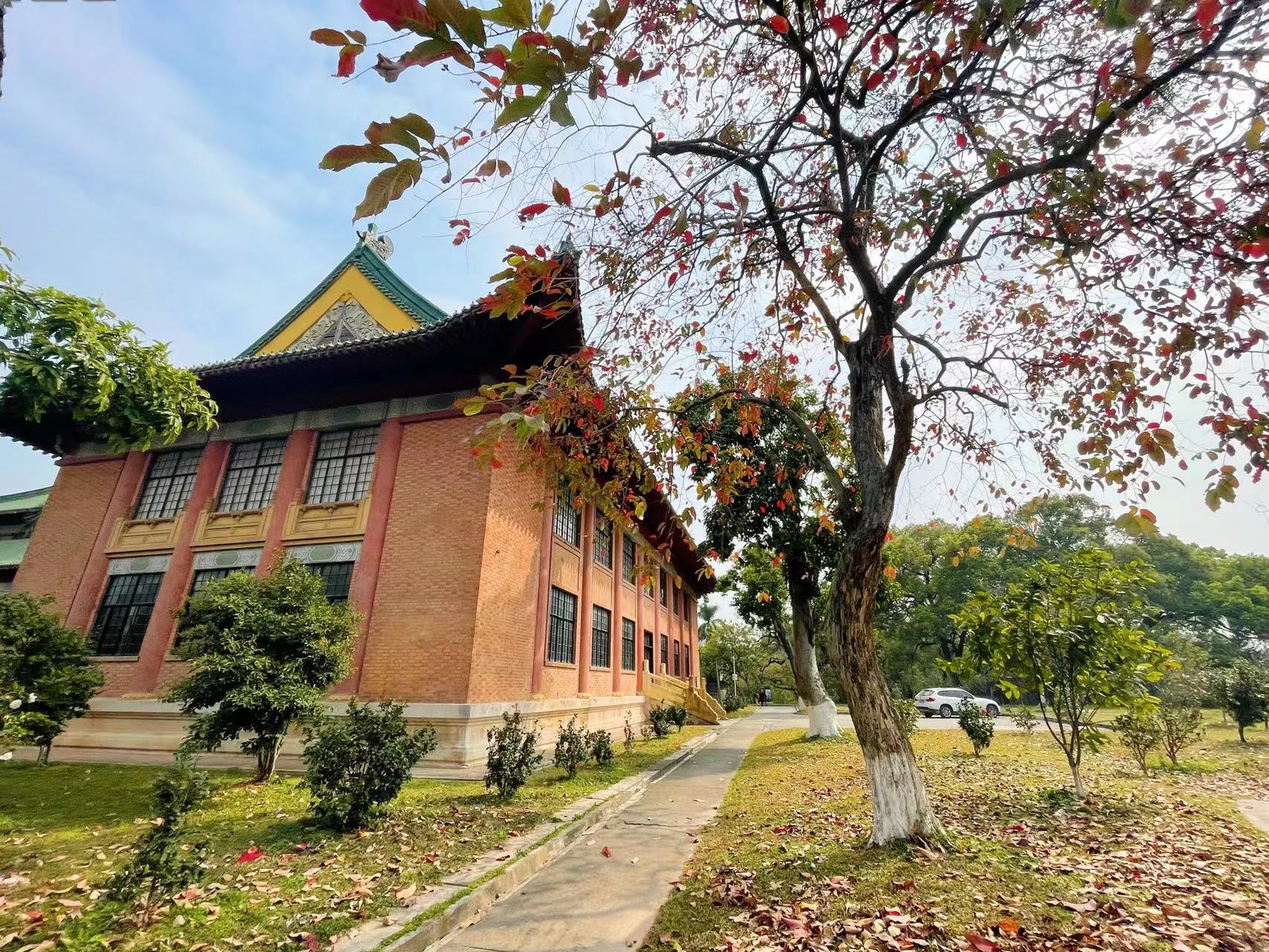 春天里,伴随着百花盛放,华南农业大学的大叶紫薇,细叶榄仁等树木纷纷