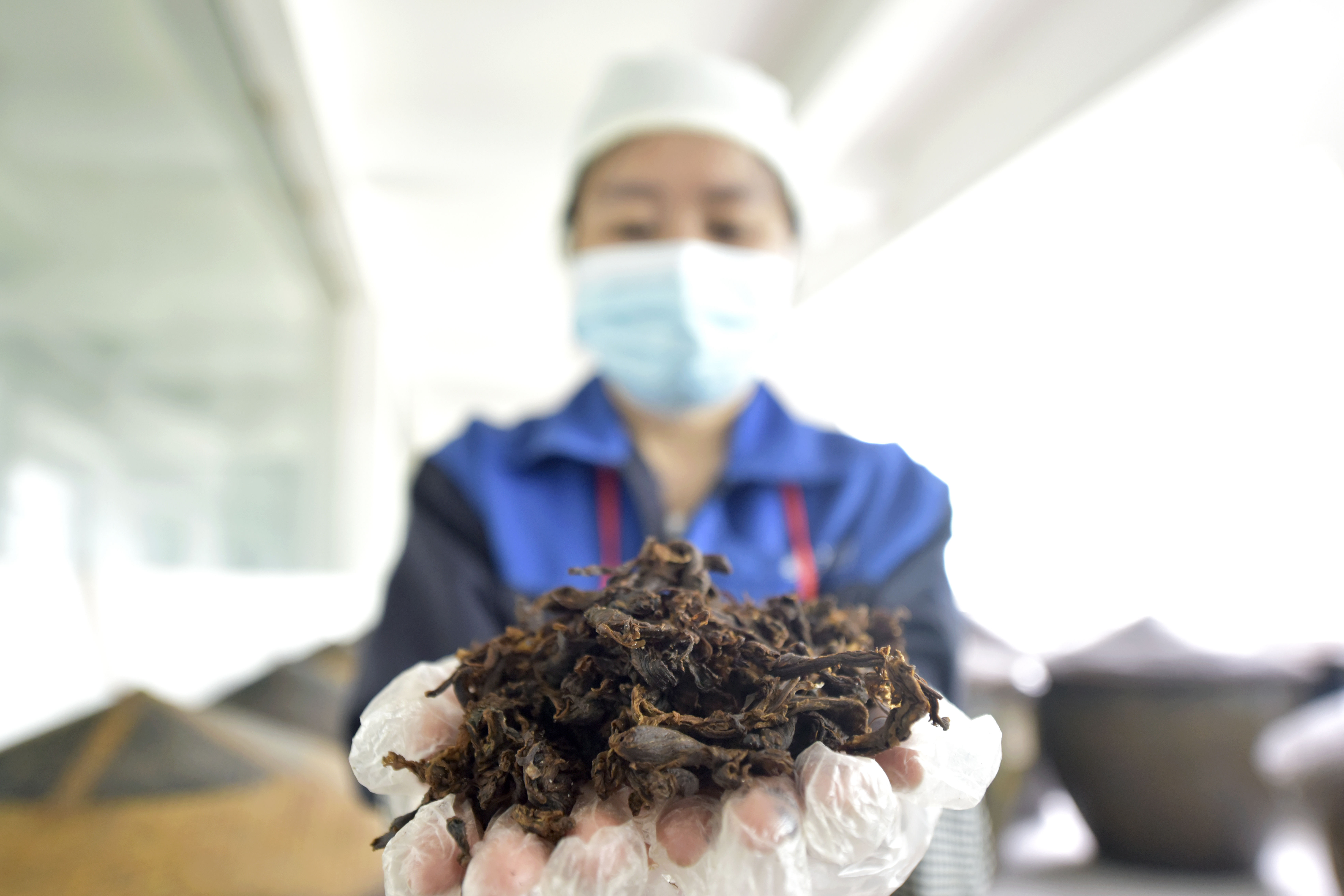 贵州镇远：陈年道菜新发展 产业引领促增收