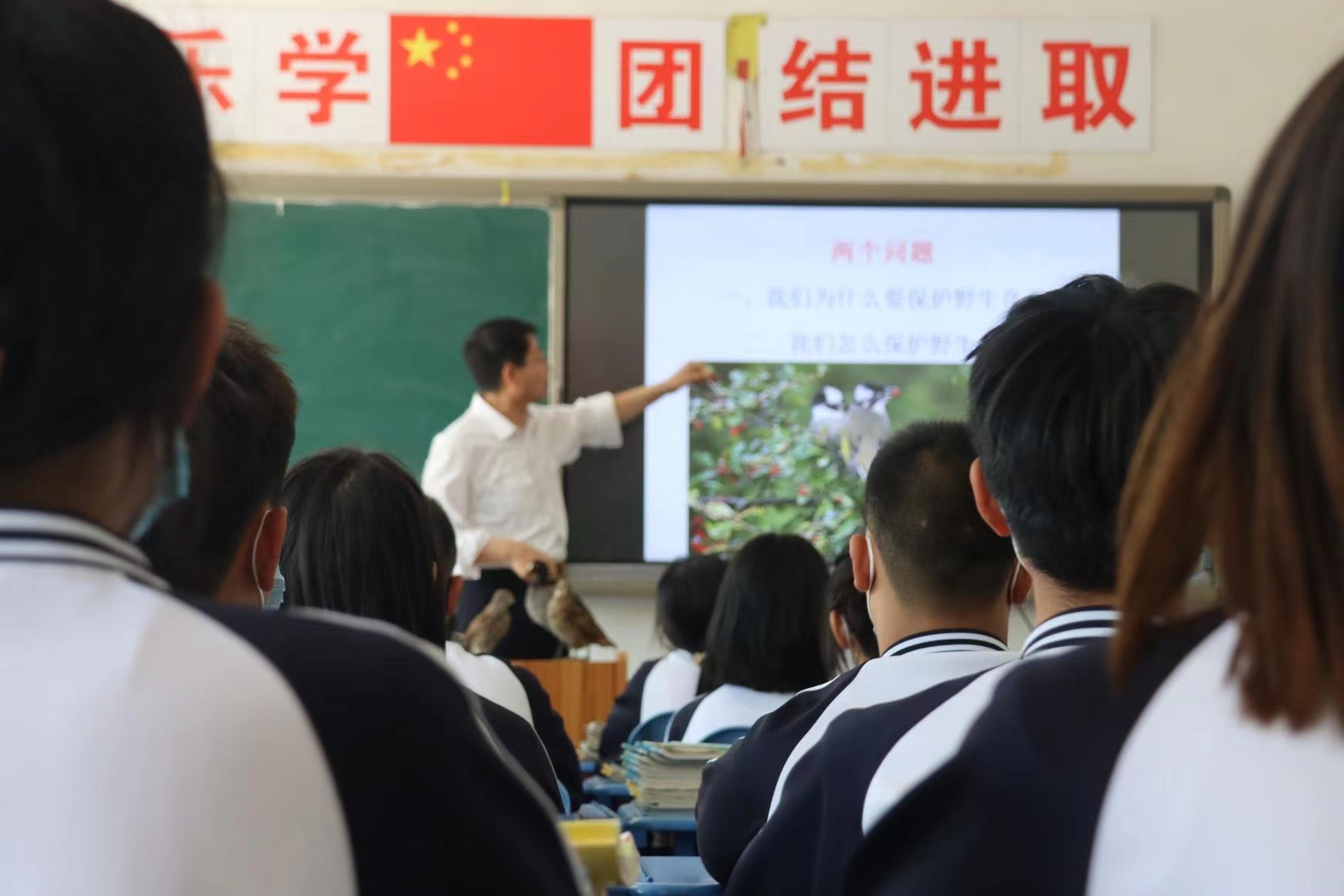 河北黄骅：鸟类科普讲座进校园 守护野生动物记心间