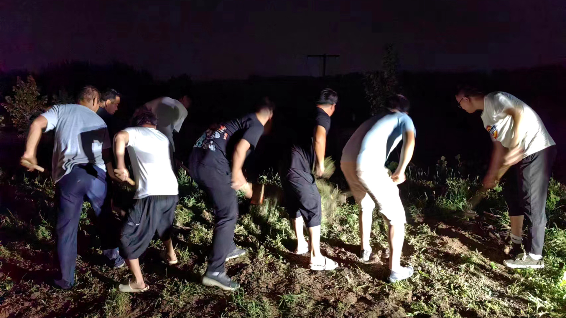 Cadres and workers from the Organization Department of the Anping County Party Committee reinforced the embankment. Photo courtesy of Anping County Media Center