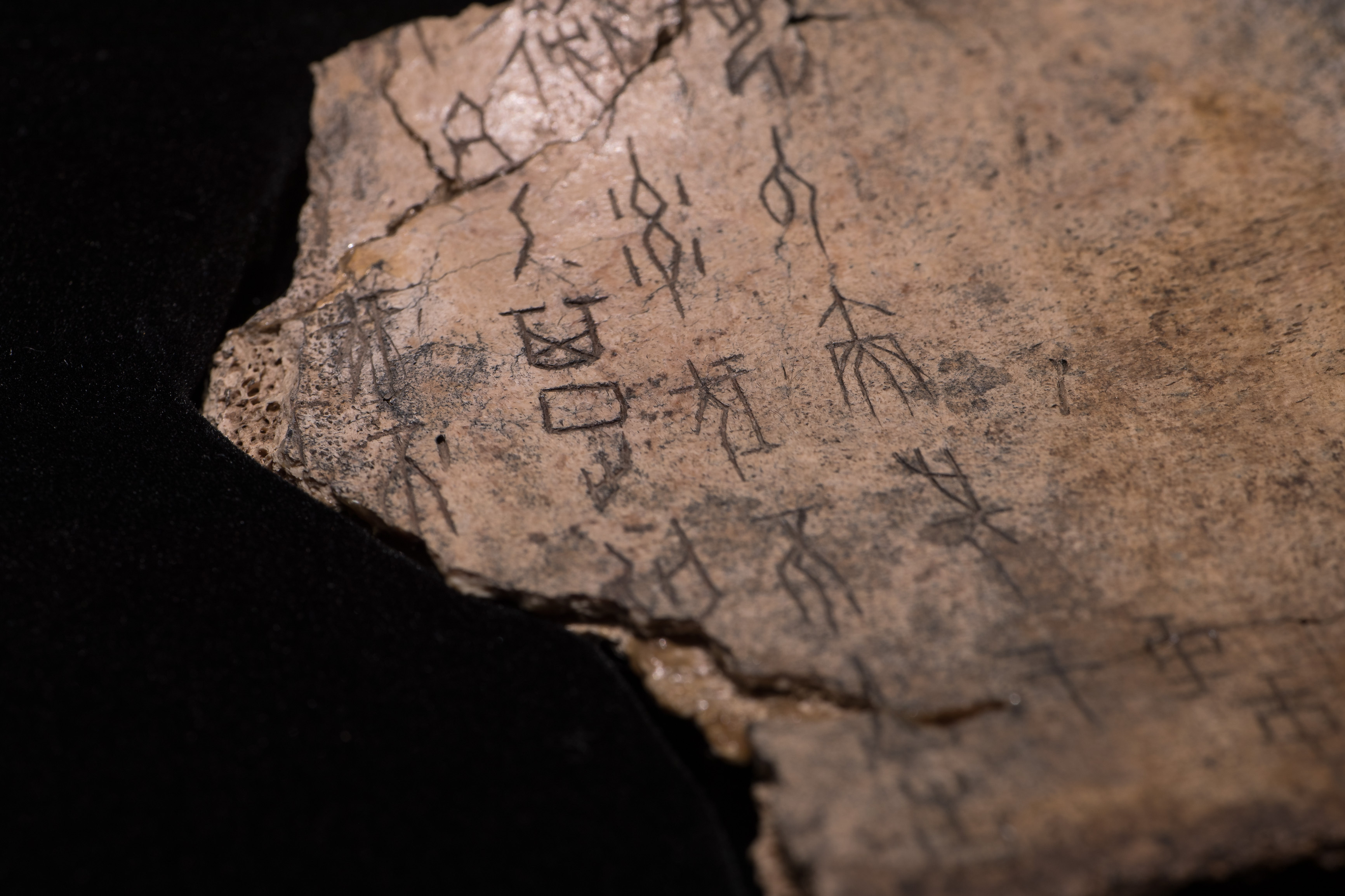 朱敬东名师工作室-中国教育云-浙江教育资源公共服务平台