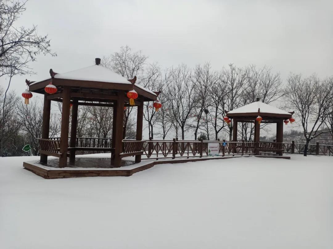 河南汝州:雪后景色 美不胜收