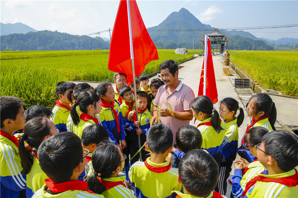 学习强国