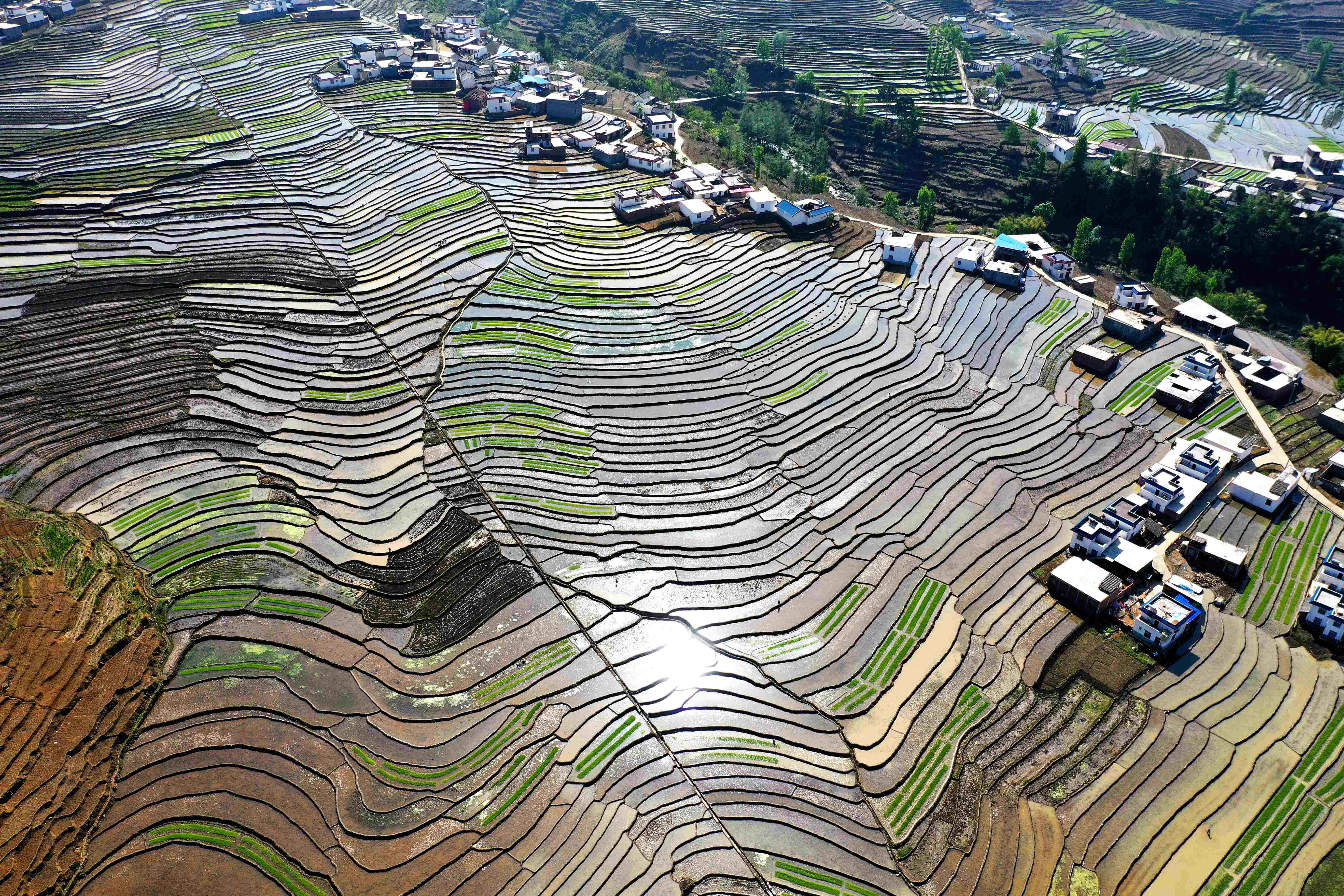 【看四川】甘洛县普昌万亩梯田迎来最美季节 航拍给你看!