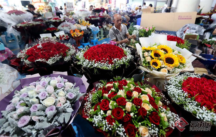 云南省文化和旅游厅