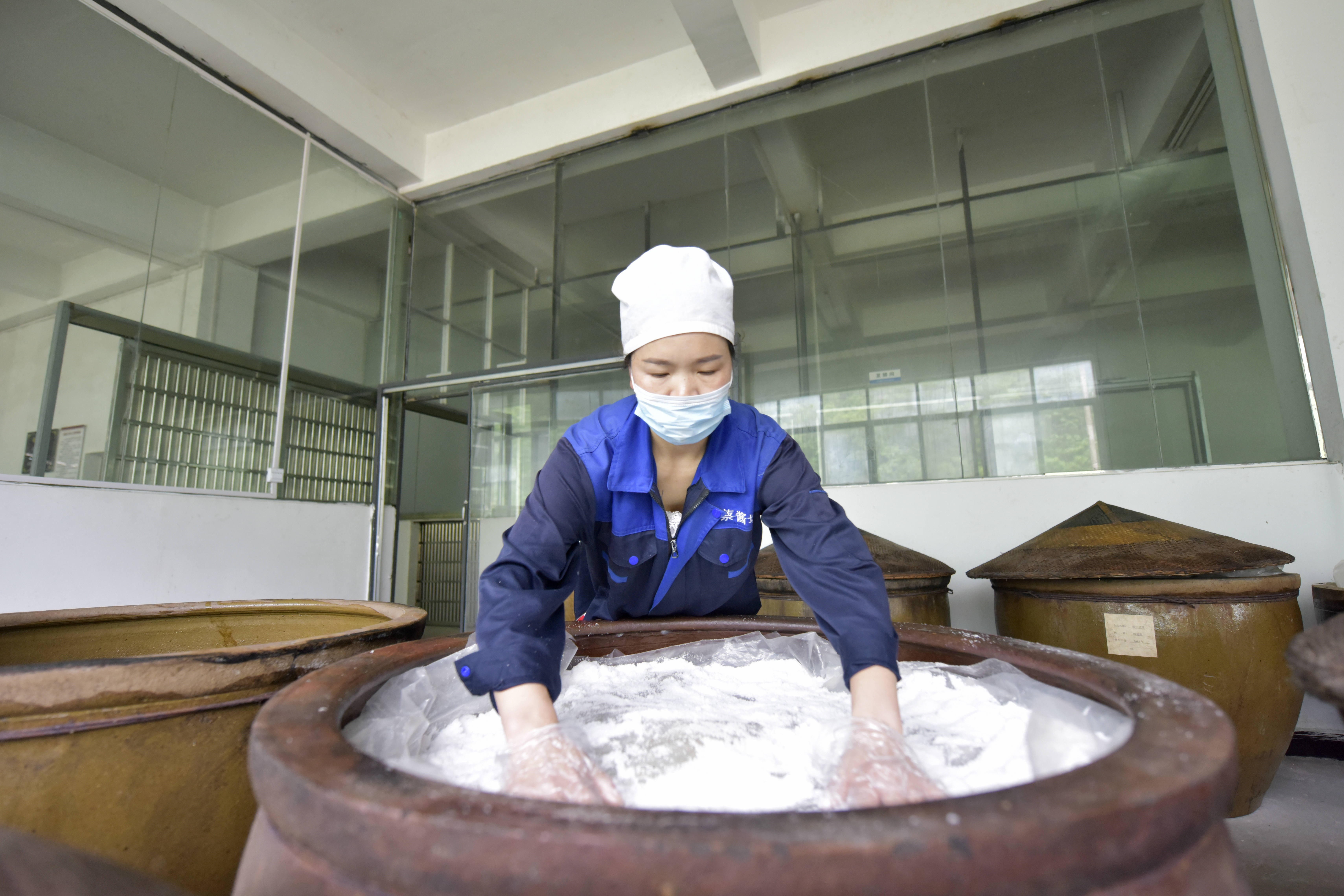 贵州镇远：陈年道菜新发展 产业引领促增收