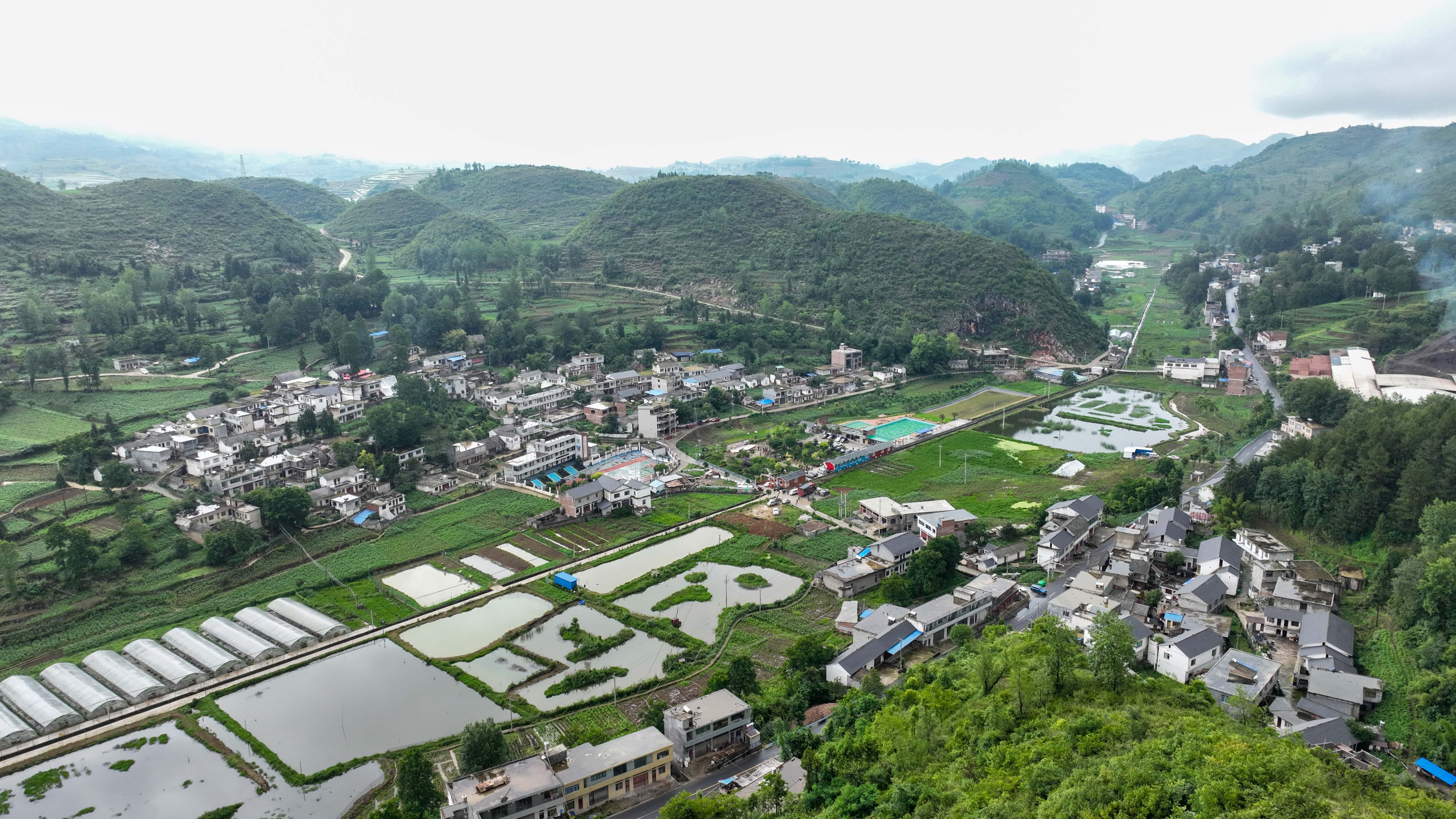 6月10日,大方县马场镇白泥社区游人如织,热闹非凡.
