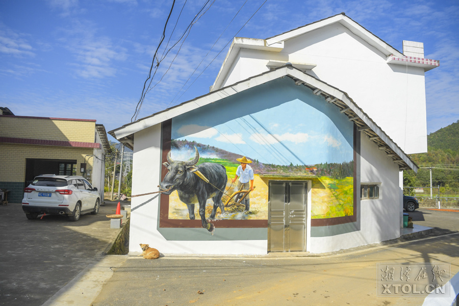 湖南韶山：绘就美丽乡村新画卷