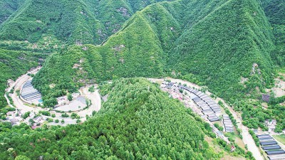 金米村对木耳大棚进行全程智能化管控。图为掩映在山林中的金米村木耳大棚基地。资料图片