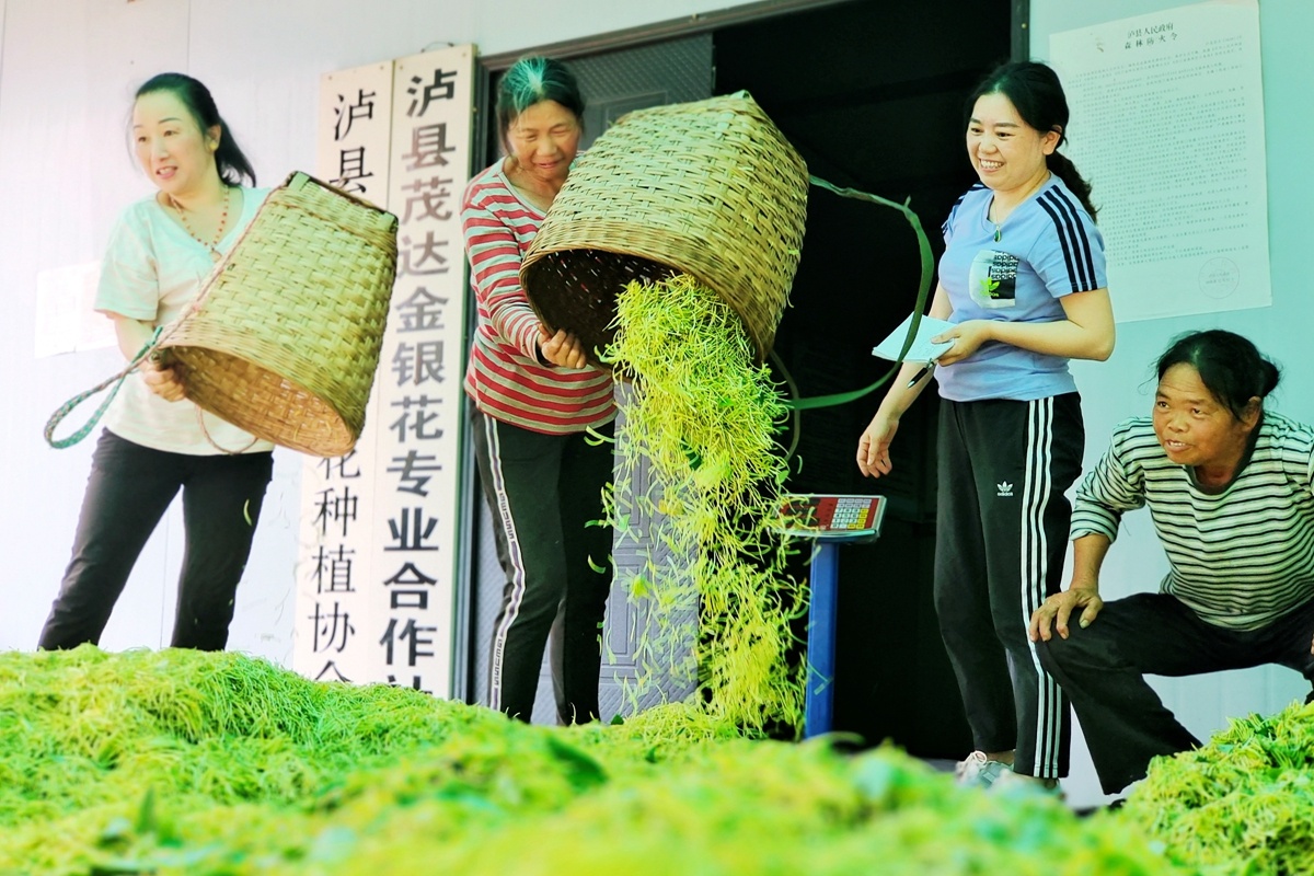 《笑脸里的丰收》古有聪 摄