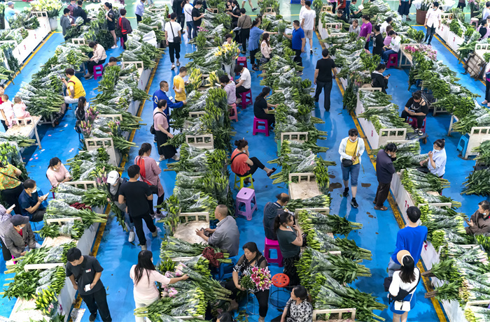 云南昆明呈贡区：斗南花市夜经济繁荣