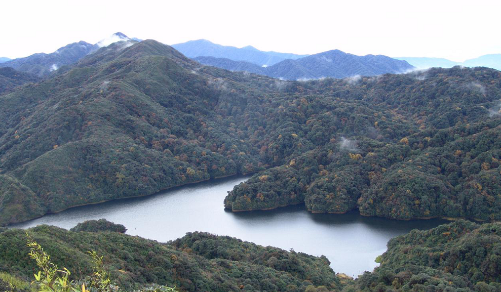 哀牢山自然保护区楚雄片区