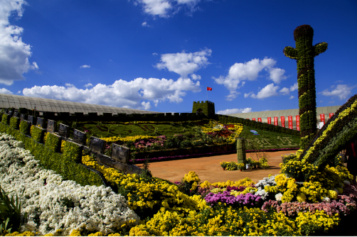 云南省文化和旅游厅