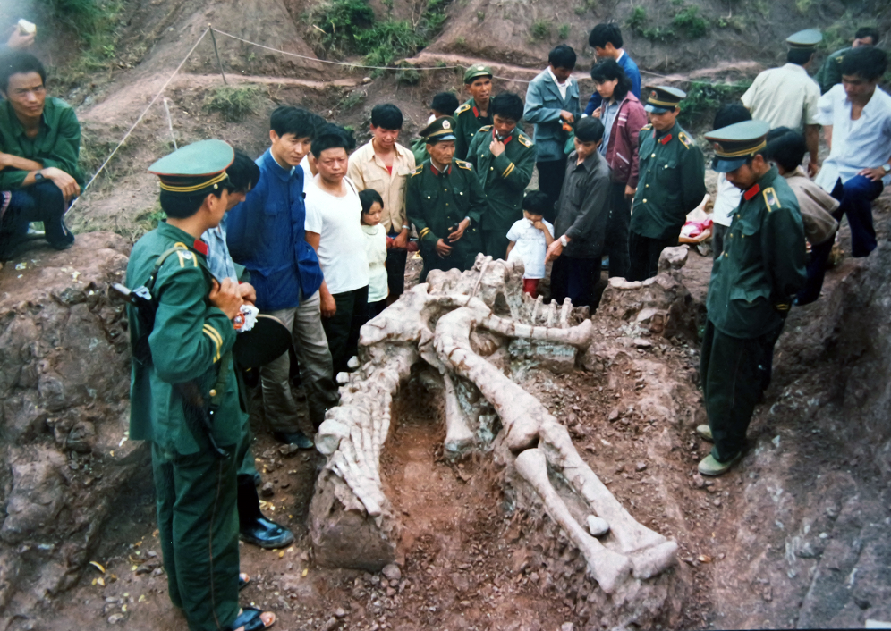 美丽云南滇中水城菌乡易门美名玉溪易门县