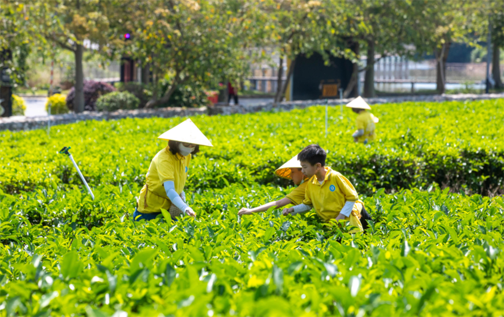 广东佛山高明区：缤纷暑假 快乐成长