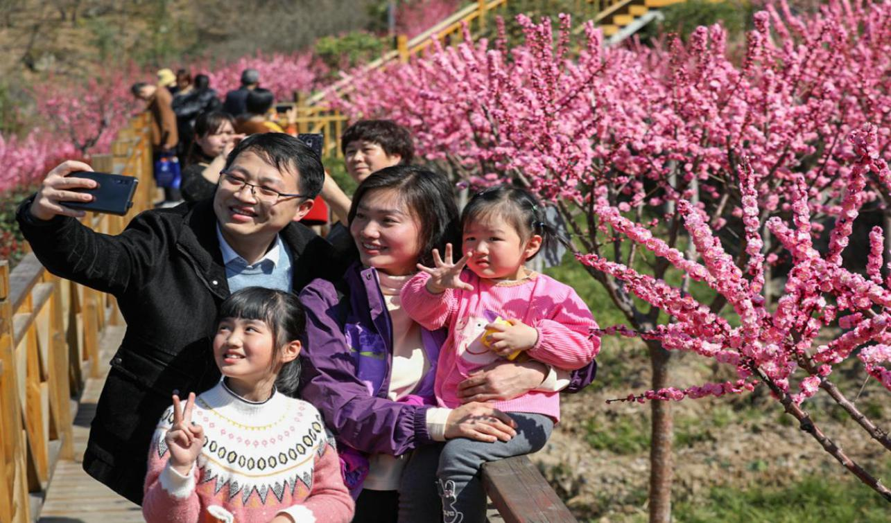 游客在梅子镇子午梅苑游览拍照