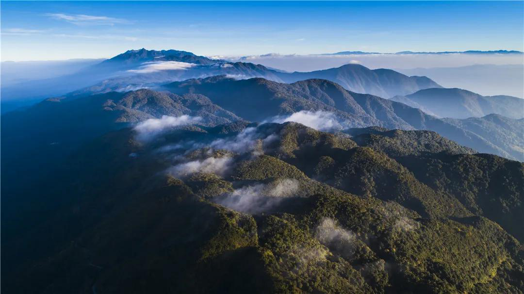 高黎贡山(保山市委宣传部供图)