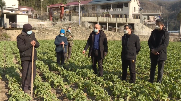 农技人员指导村民如何做好冬季田间管护。