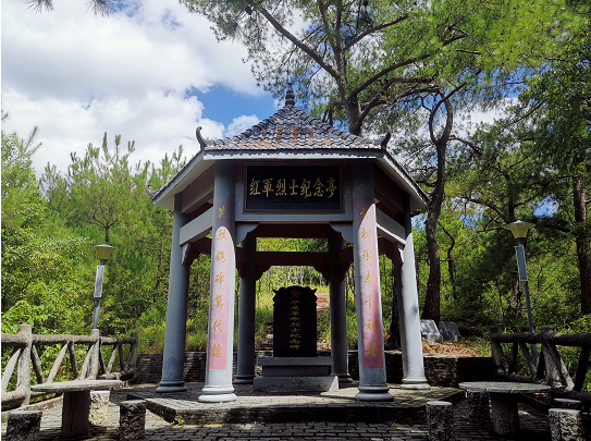 学习强国