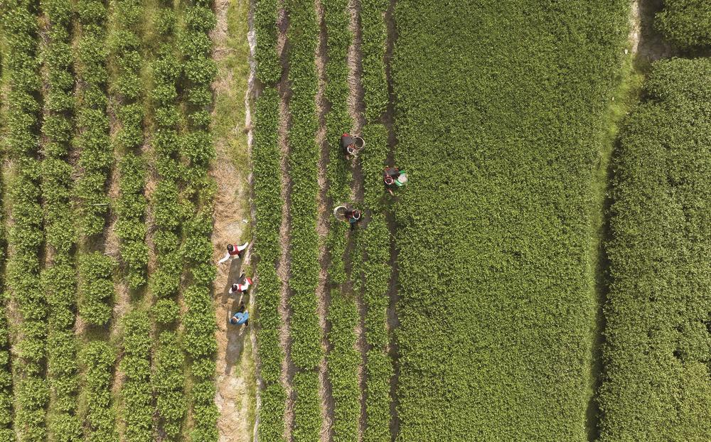 中信银行福州分行两张名片助力谱写中国式现代化福建篇章