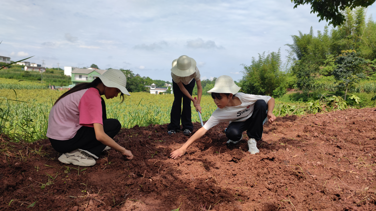 四川长宁：农文旅融合 打造研学“新地标”