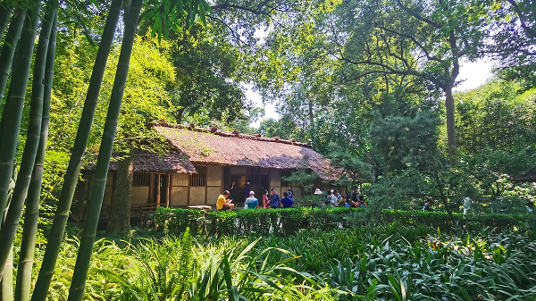 和漂亮老师做爰4