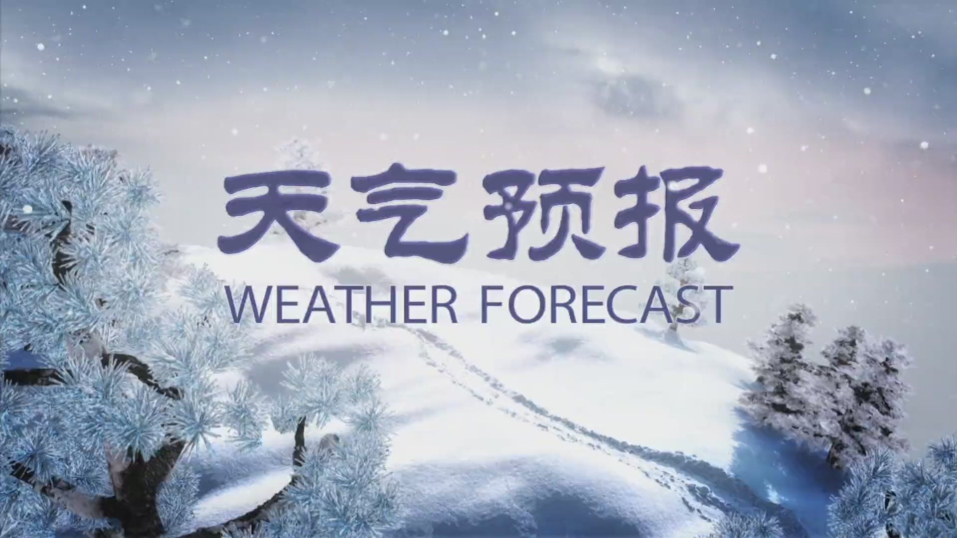 每日天气预报